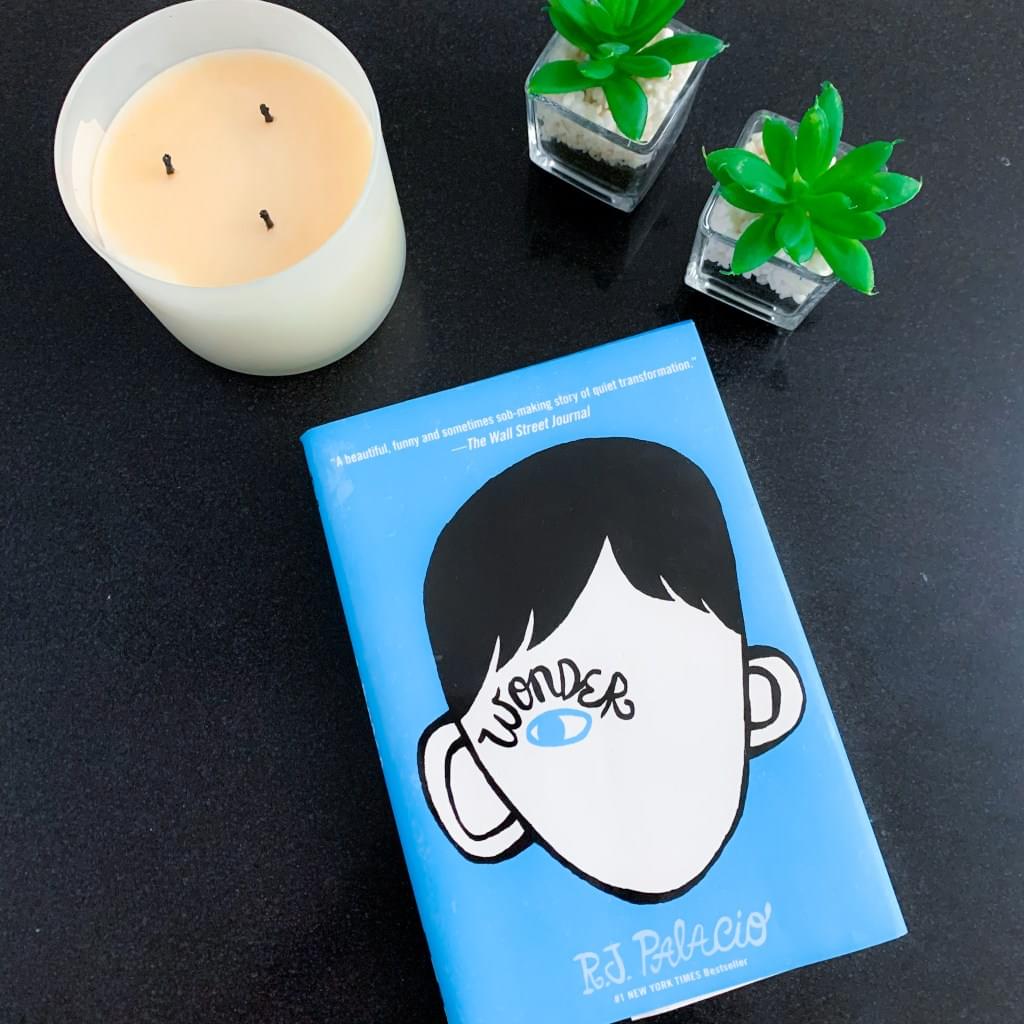 Wonder activities for speech therapy